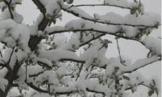 用明确阐述意思的句子表达定义或解释一事或一物的标题