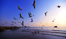 探究自由：自由的哲学、政治、社会等多方面探讨，以及对自由概念和实践的深入分析和思考