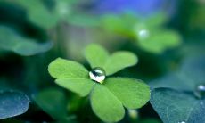 当你的女友对你心灰意冷且感到失望时，会说出哪些话语？