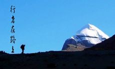 与时间为友，艰辛成长：探索人生长路的漫长修行之旅