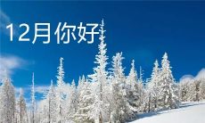 「十二月，让我们采摘璀璨的唯美句子，点缀冬日的美好时光」