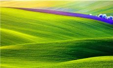 想要出彩的后厨,必备霸气押韵的口号!