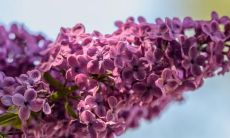 探寻亲情价值观：郭敬明谈论家庭纽带、爱与责任的箴言