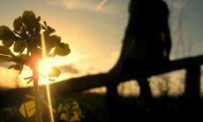 如何用英语描述让心碎的痛苦感受