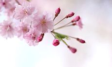 情感触动至泪流满面的动人句子，述说爱情的酸甜苦辣与绵长深厚