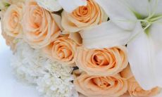 最触动心灵的浪漫情话：让你心动不已的爱情句子汇总