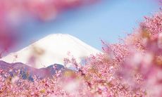 哭到泪流满面的最动人爱情词语短句合集