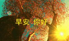 齐备女孩子早晨问候短信大合集，让你每天都能用温暖文字点亮TA的一天！