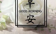 房地产管理公司每日短信问候:早安,祝您有个美好的一天!