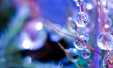 今天出差的客人给家人和朋友发送问候和祝福的简短信息