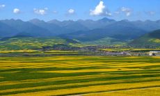 十条激励人心的英语句子,帮助您迈出成功的第一步!