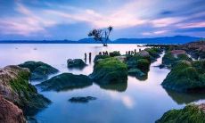 如何发送给病人的问候短信，以传达关怀和鼓励？