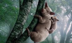 有趣的言论，能言善辩且言简意赅，纯属玩乐之余的福利！