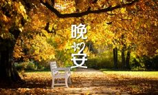 富含情感和温暖的最具诱惑力的晚上问候文本