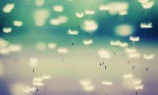 收录最打动人心的亲情句子汇总，让你感受一份真挚的情感连接