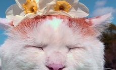 英语简短友情句子：让友情长存的话语