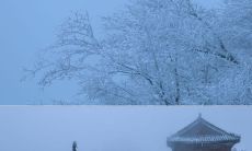 十句毫无温情和感情的枯燥文案句子