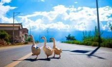 销售团队的口号:简短又霸气,助力房产销售!