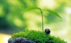 无敌,让你立刻拥有正能量,充满斗志的好听口号全收录!