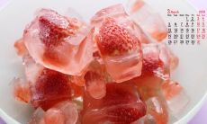 Some Important English Sentences Regarding the Significance of Family Relationship