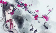 欣赏小众且充满唯美的诗句，感受诗意之美