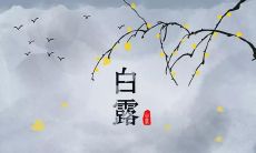 如何在白露节发送最有创意的问候短信?
