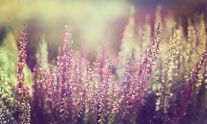 深沉感人的珍惜格言：让我们一起学会如何珍爱生命，珍爱身边的人和事，珍惜每一天的时光！