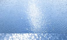 《秋风萧瑟，黄叶飘飘，铺就地面一片金黄的世界》