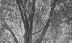 感到失望的朋友对于那些背叛承诺、屡次失信的人所说出的句子