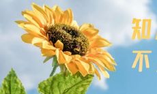 征路上革命先烈的激励言辞：鼓励我们勤奋上进，追求人生自我超越的句子