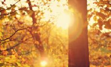 用温暖的语言安抚心灵不开心的女孩