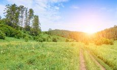 不管过去多么艰难，未来依旧充满希望：鼓励自己的一些句子！