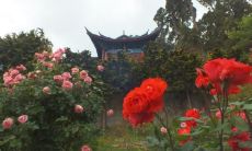 探究自私与友情之间的关系：一系列关于友情自私的探讨性句子