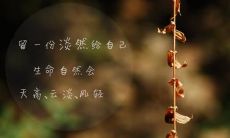 探寻婉约而深情的亲情之美——美丽的亲情句子回顾