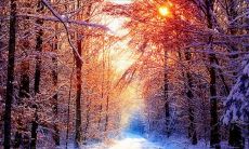 探究雪的特性：白雪皑皑，柔软绵密，缤纷飘洒，让世界沉醉在充满冰雪之美的自然景观之中