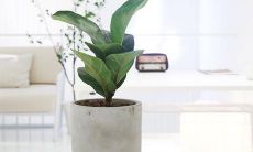 通过环境和场景的刻画，展现家庭亲情的感人句子