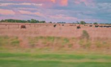 大合集,激励自己的正面心态与积极态度,让工作成为充满动力和活力的过程,展现穿越困难、迎接挑战的勇气和决心