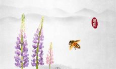 让你深刻感受友情的痛点的句子合集,让你瞬间心痛!