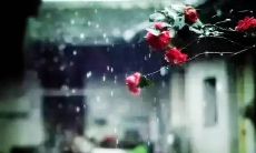 探寻雨的幽微之美：令人心醉神迷、滋润生命的经历、引发情感共鸣的经典引言