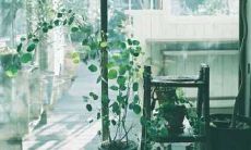 当爱情和友情走向低谷：一个沉浸在变质情感中的故事