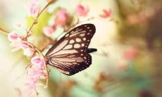 深刻的友情破裂句子，流露出内心的伤感和悲痛情绪