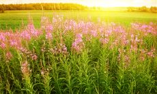 感情直白表白友谊的霸气句子集锦，让你的真心情感独领风骚！