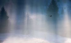 充满愉悦的文艺句子,令人欢欣鼓舞并充满幸福感