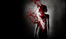 一件沉重且令人感伤的事,展现生命的成熟和脆弱性:寻找自我拯救的故事