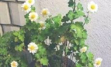 100个素雅优美的英语句子:让你的阅读变得更加美丽和愉悦!