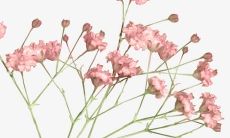 如何用言辞证明自己正在经历着欢乐、愉悦和充实的生活状态?