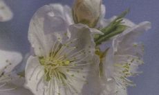 从告别四月到迎接五月:激励心灵的唯美句子话题