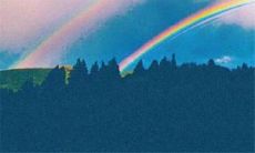 我无法胜任兄弟所赋予的期望，导致他们对我产生失望的事实