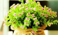 五月,你好啊,请否定再也不要让我伤心了——分享五月心情的感想和感受!