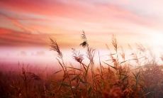 秋季精选:简约、轻松、温馨的心情留言,让你更好地感受秋日的赏心乐事!